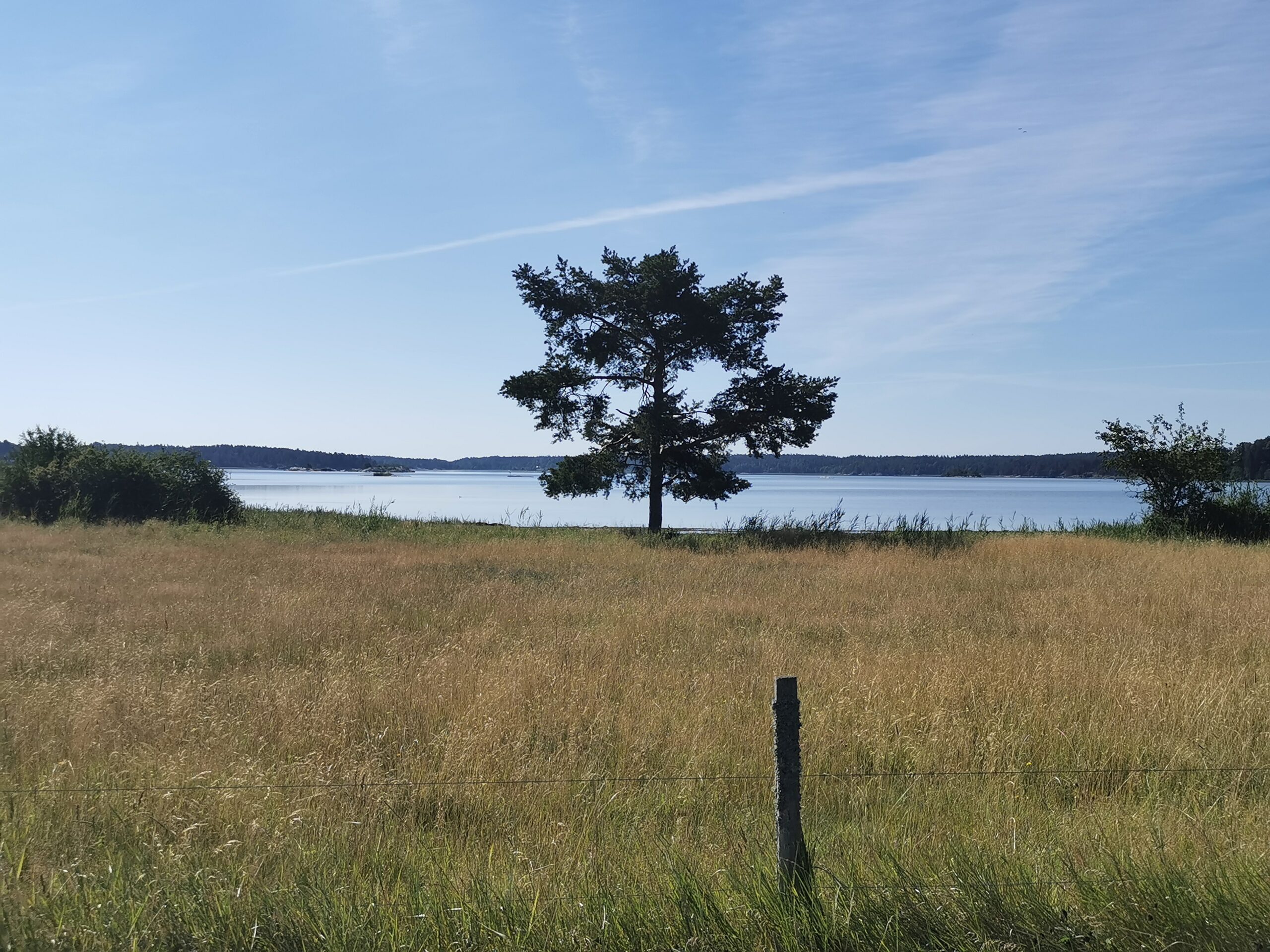 Bild på projektledaren inom projektet möjligheternas Söderköping - landsbygd & skärgård